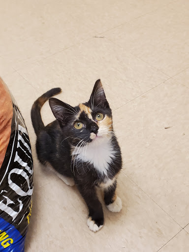 Pet Supply Store «Petco Animal Supplies», reviews and photos, 1121 5th St, Miami Beach, FL 33139, USA