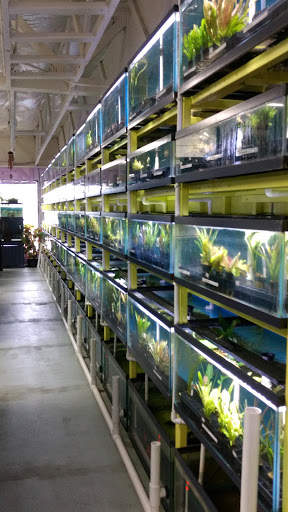 Fish Farm «Aquarium & Garden Inc.», reviews and photos, 1610 S 341st Pl f, Federal Way, WA 98003, USA