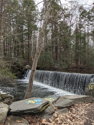 Tree Service «Exquisite Environments», reviews and photos, 1351 Stillwater Rd, Stamford, CT 06902, USA