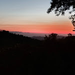 Photo n°2 de l'avis de Alessandro. fait le 12/07/2021 à 20:31 sur le  Ristorante Il Baracchino (TIRLI) à Tirli