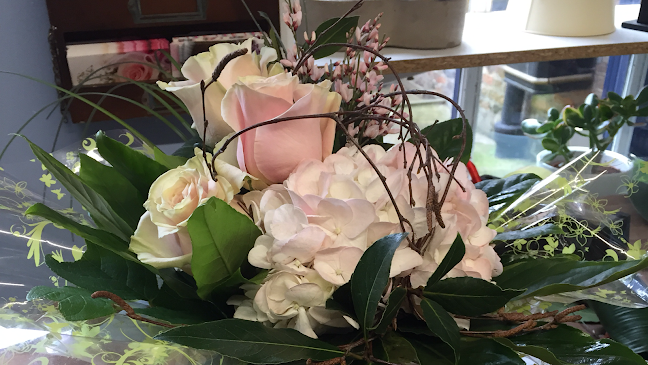 Reviews of Back To The Fuchsia in Milton Keynes - Florist