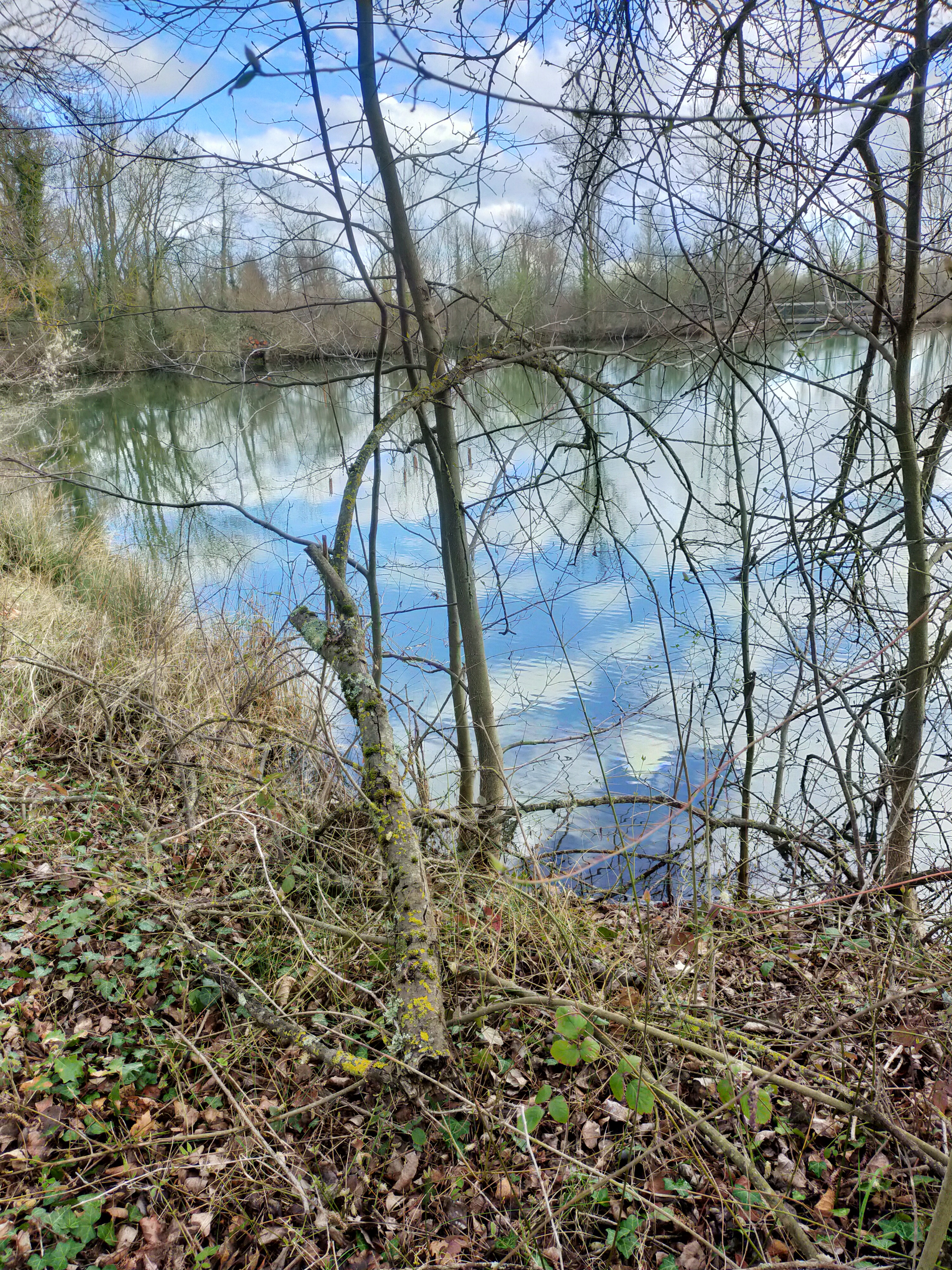 Photo n° 4 de l'avis de Domie.u fait le 13/03/2022 à 17:39