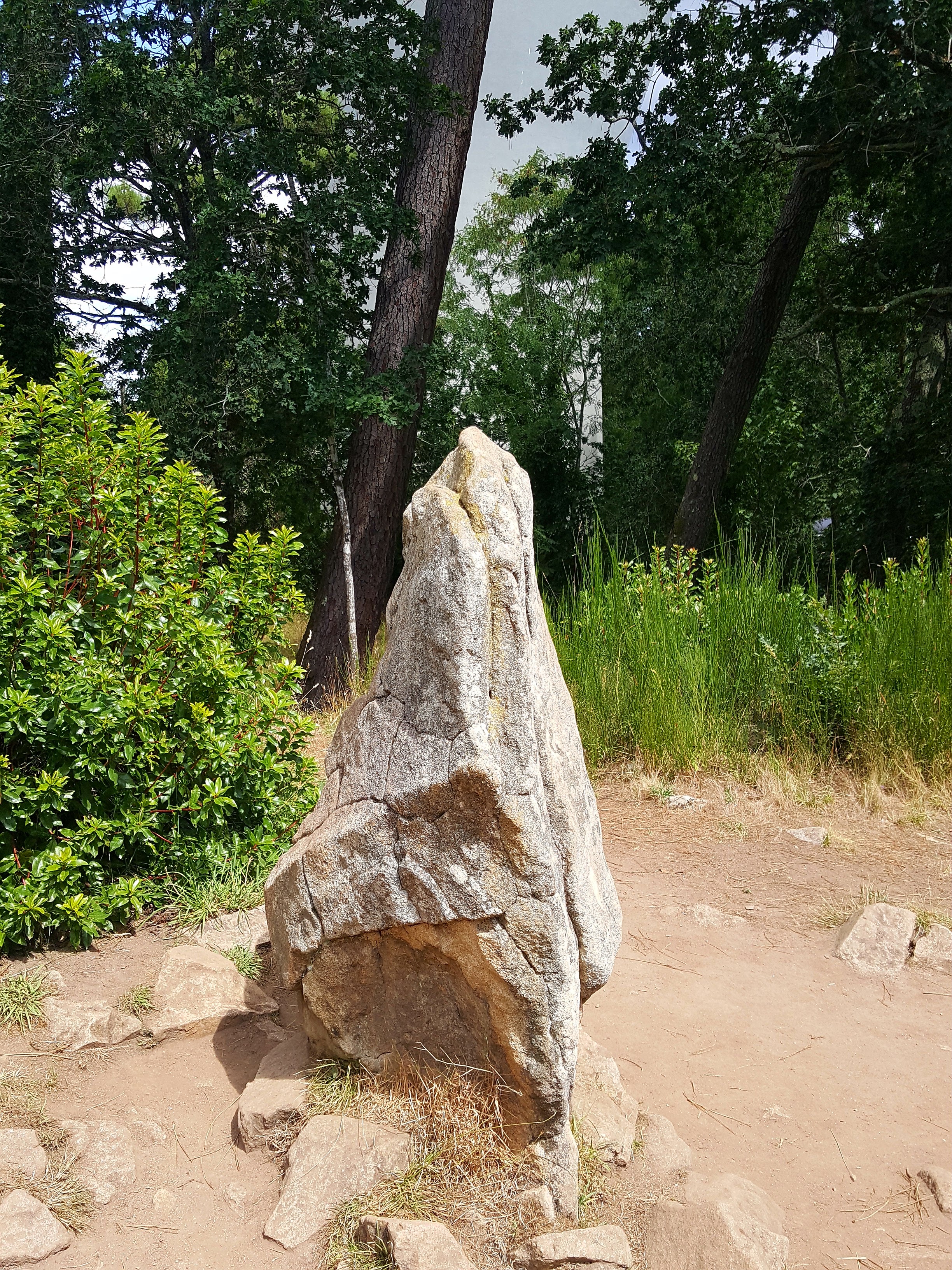 Photo n° 2 de l'avis de Lena. fait le 08/09/2017 à 20:06