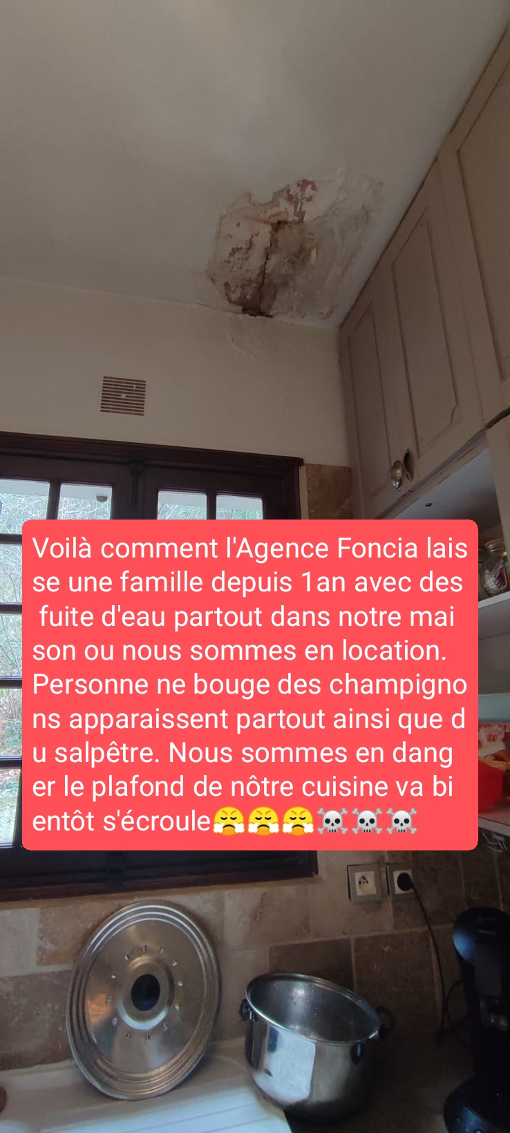 Photo n° 1 de l'avis de pouletdogystyle47. fait le 18/03/2023 à 10:08