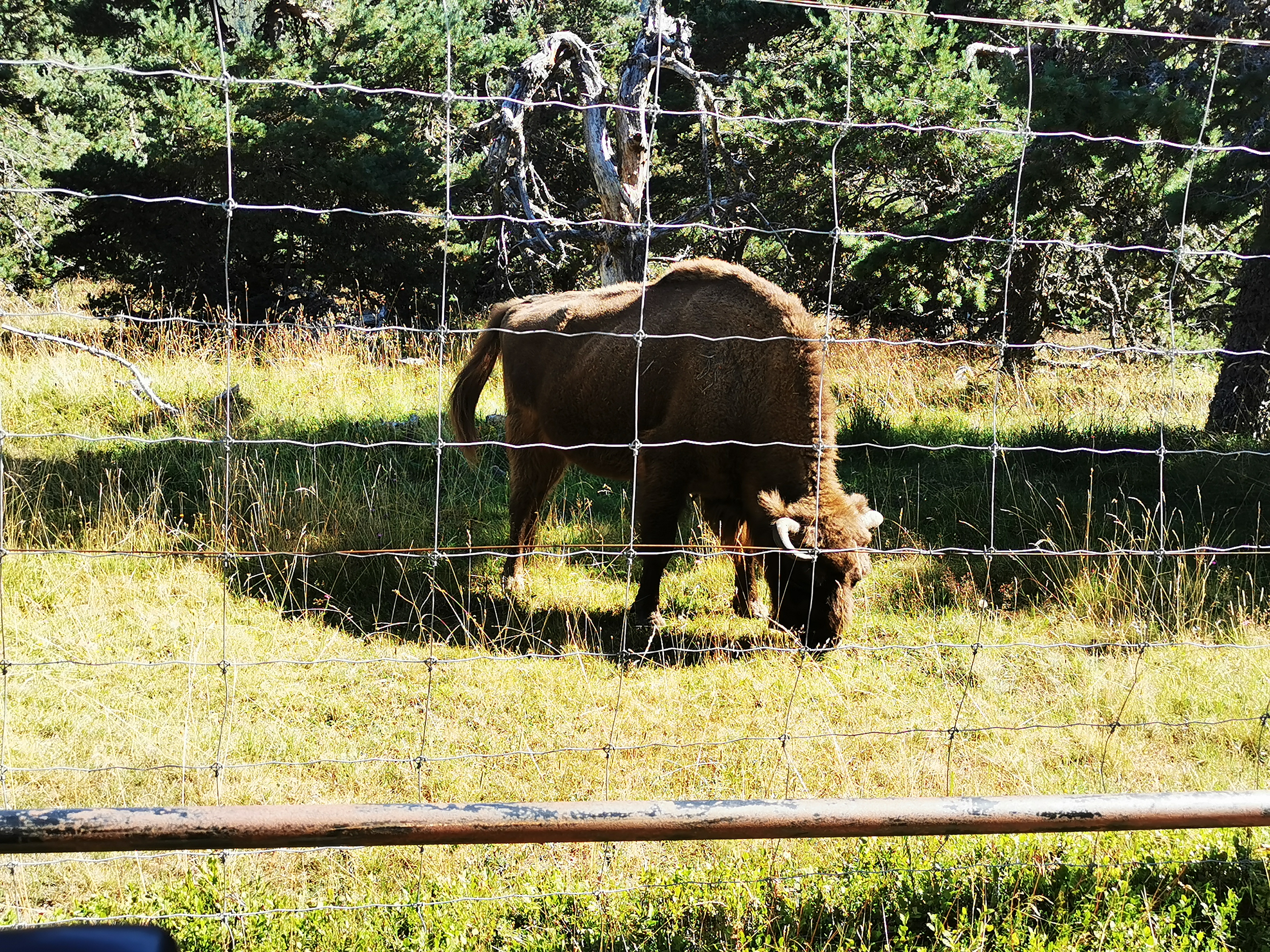 Photo n° 3 de l'avis de Léa.i fait le 02/08/2020 à 10:00