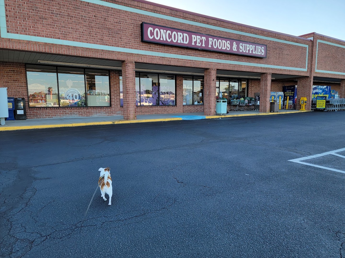 Concord Pet Foods & Supplies