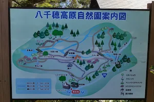 八千穂高原自然園 image