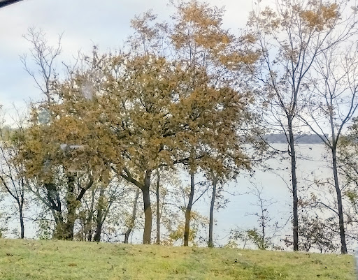 Park «White Rock Lake Park», reviews and photos, E Lawther Dr, Dallas, TX 75218, USA