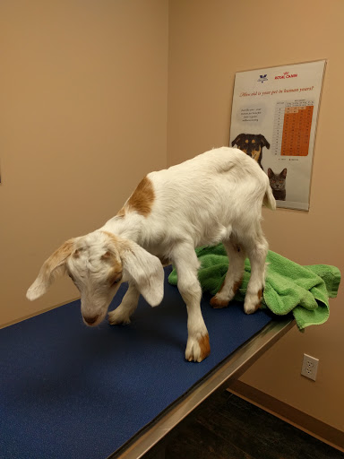 Tri-Municipal Veterinary Clinic image