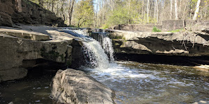 Rockway Conservation Area