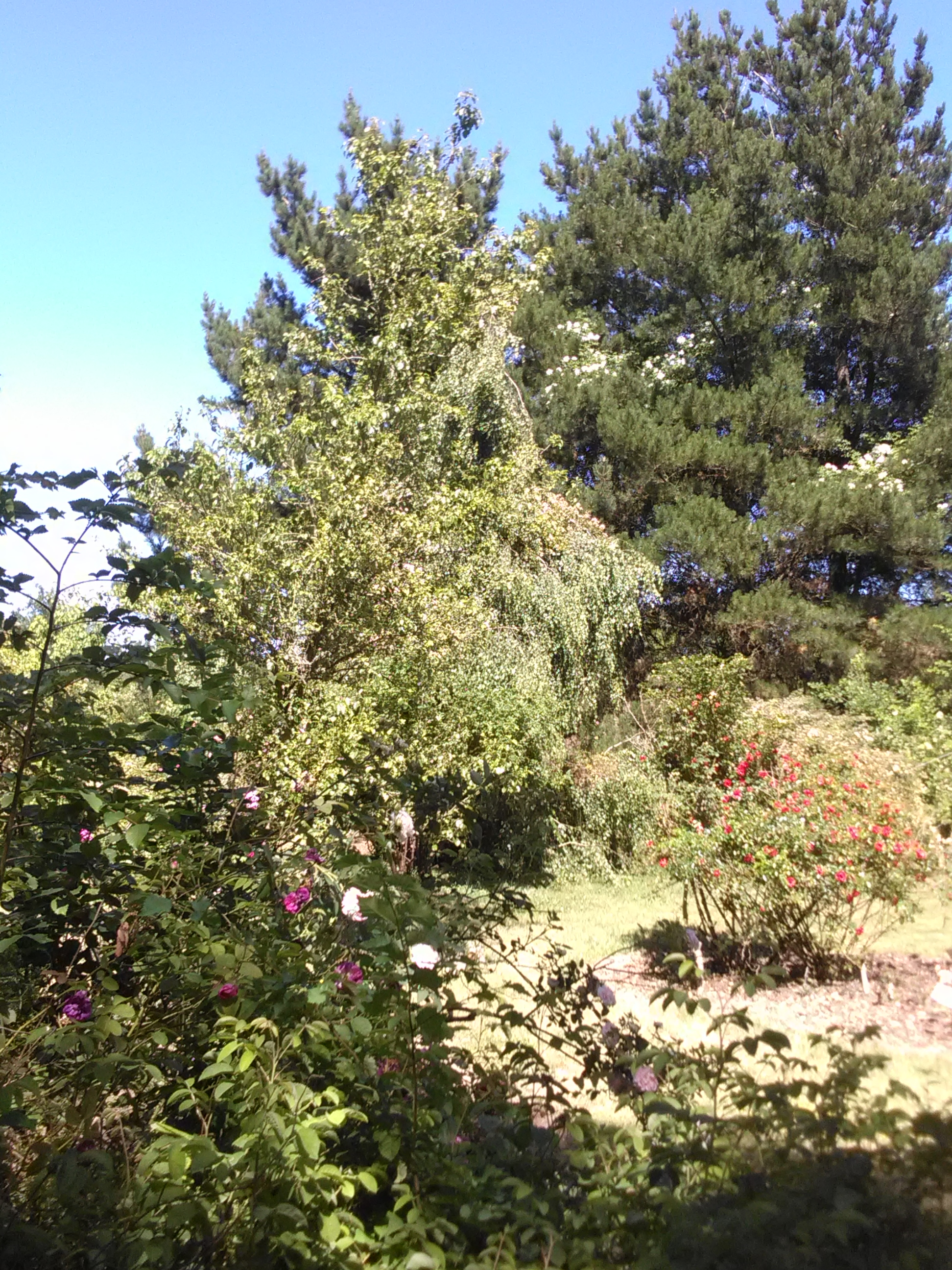 Photo n° 4 de l'avis de marie-reine.r fait le 31/05/2020 à 17:45