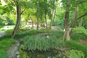 Japanese garden image