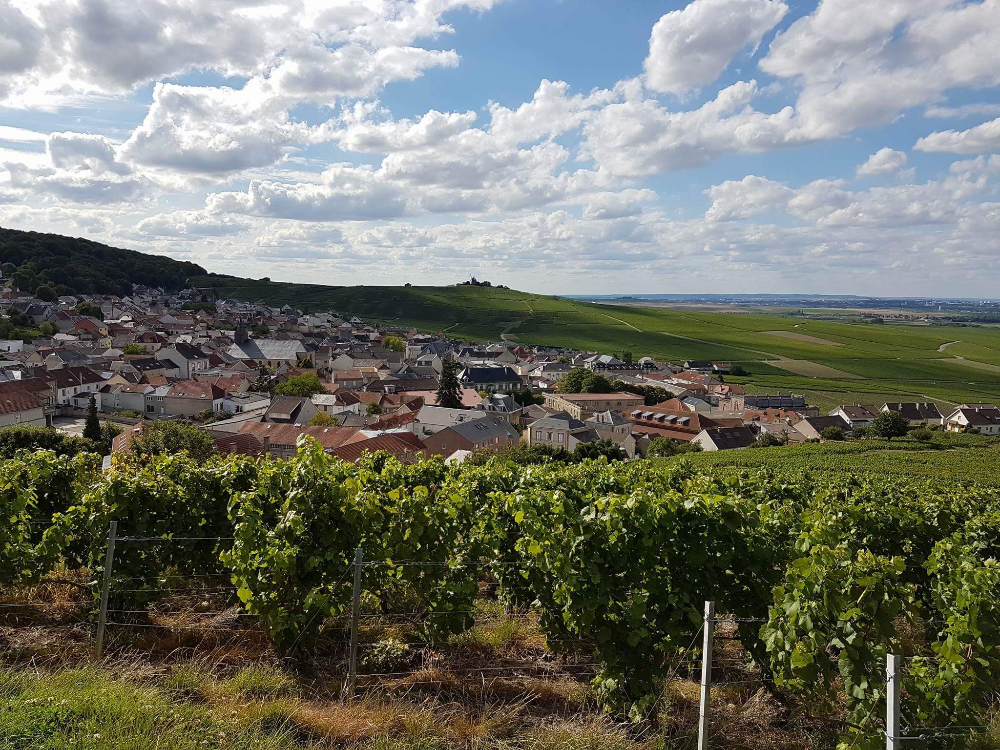 Photo n° 3 de l'avis de Athéna.e fait le 15/08/2017 à 06:29