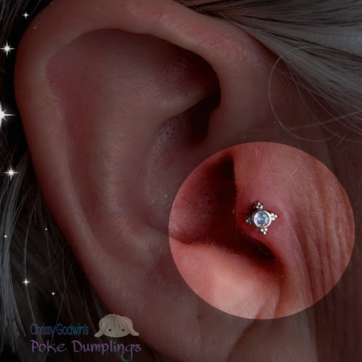 Find crow tattoo ideas for your next unique tattoo in Muncie at Forbidden Fruit Tattoo and Piercing