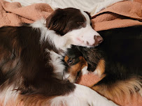 Kincaid Realty - Photo 6 - Car repair in Cary, NC, Cary