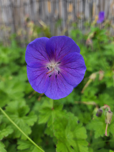 Zoo «Reptile Zoo», reviews and photos, 22715 US-2, Monroe, WA 98272, USA