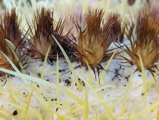 Home Improvement Store «The Home Depot», reviews and photos, 43900 Ice House Terrace, Fremont, CA 94538, USA