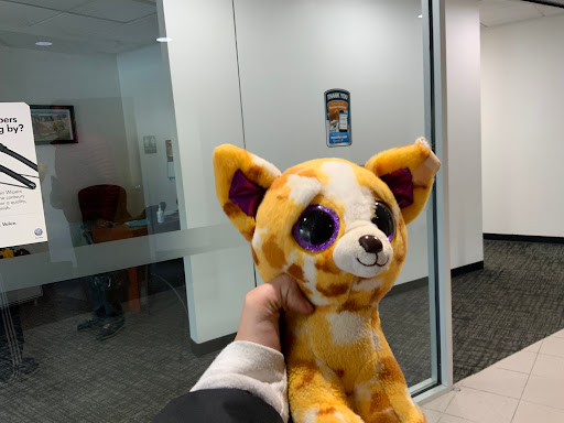 Nissan Dealer «Nissan of Huntington», reviews and photos, 850 E Jericho Turnpike, Huntington Station, NY 11746, USA