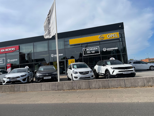 Uggerhøj Hjørring - autoriseret Opel, Citroën og Kia forhandler - Bilforhandler