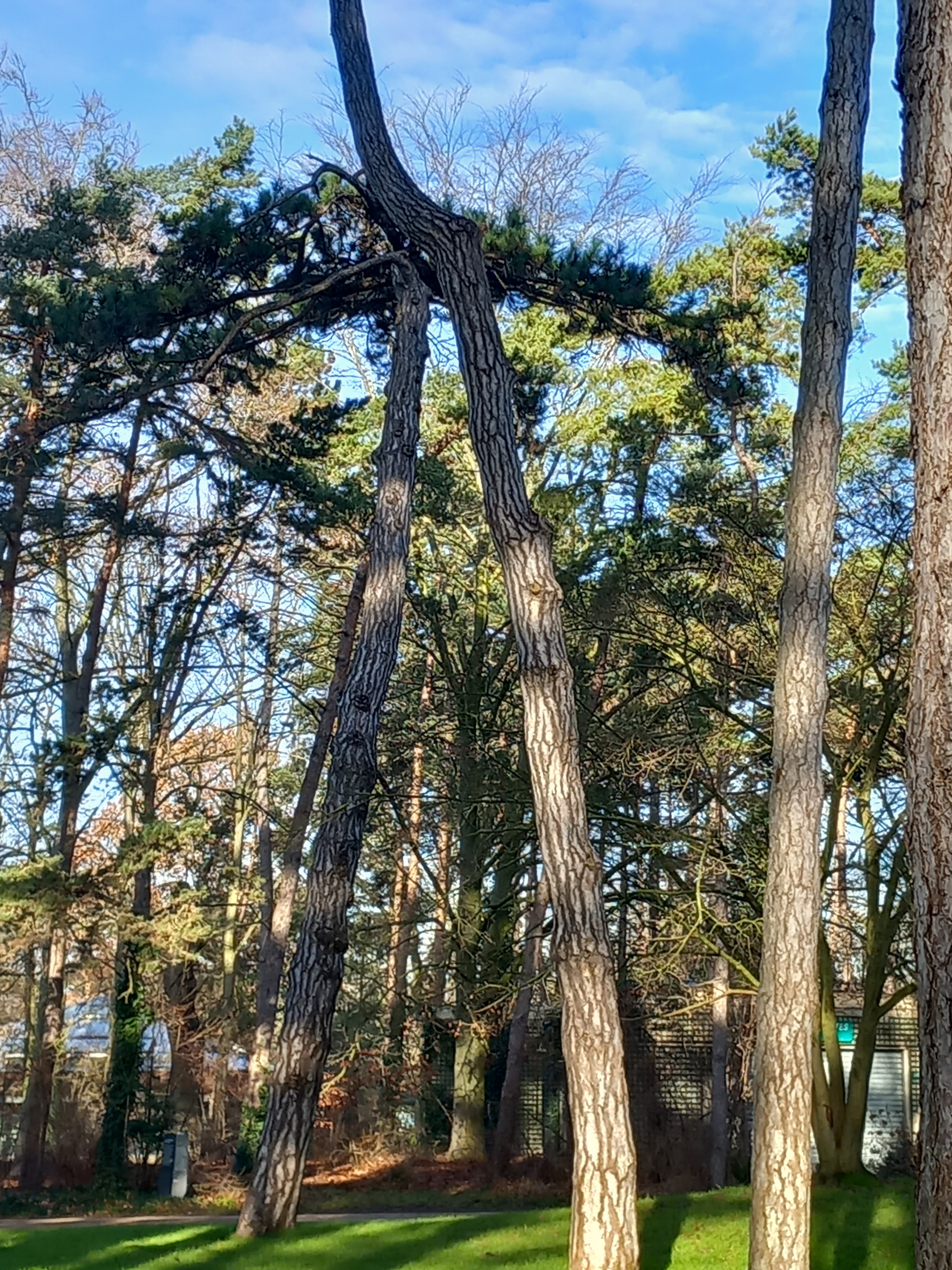 Photo n° 8 de l'avis de Loïc.o fait le 28/01/2024 à 20:24