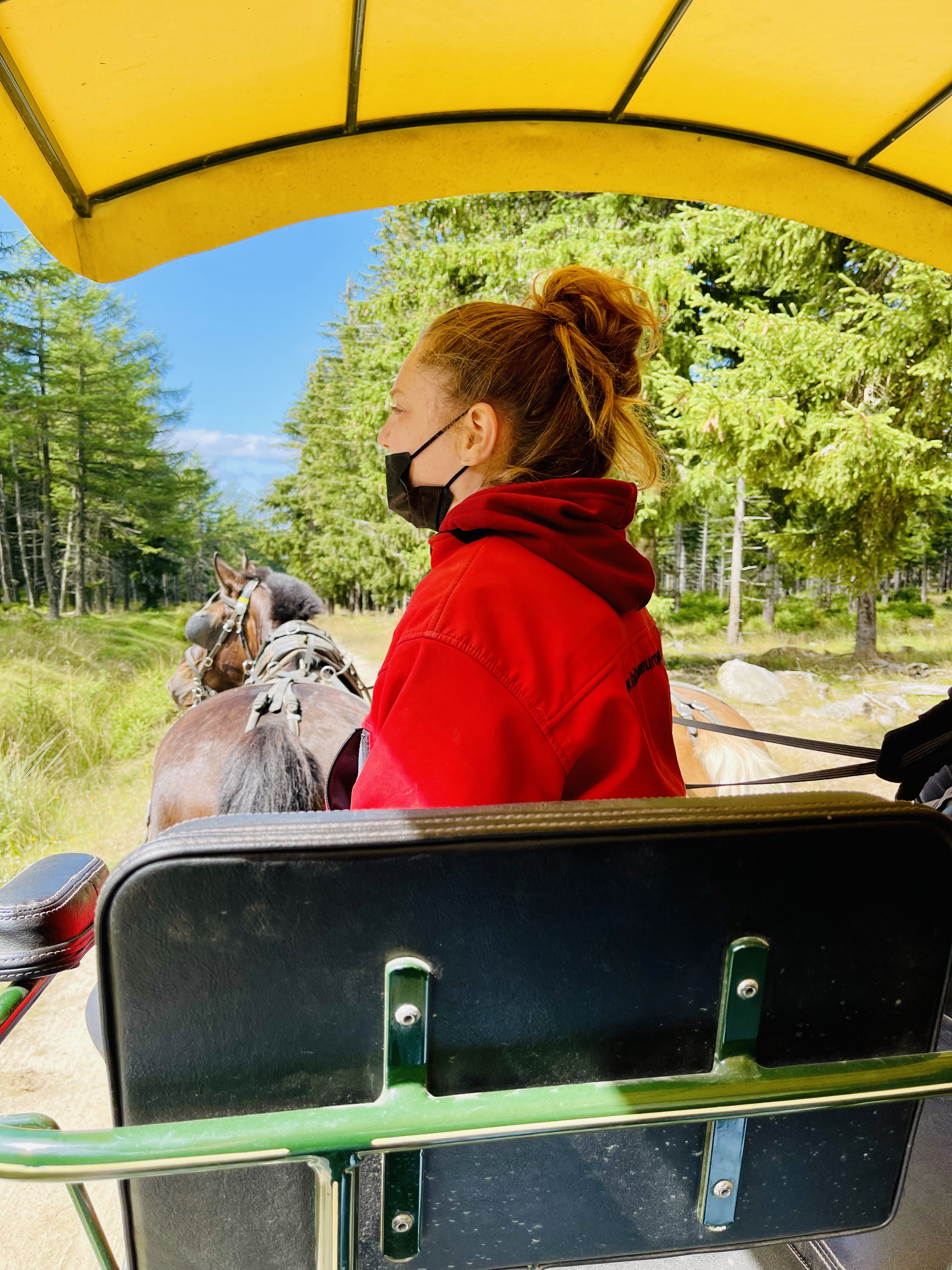 Photo n° 7 de l'avis de Karine.o fait le 30/08/2021 à 17:46