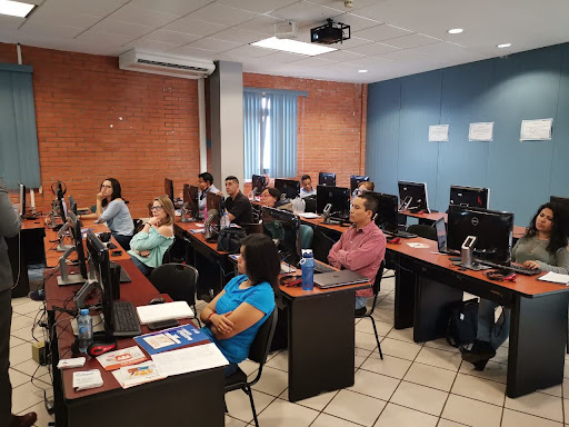 Software courses Leon