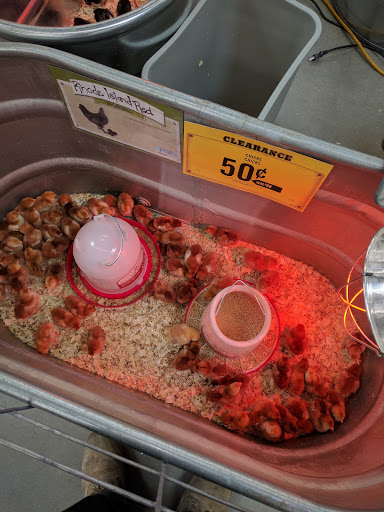 Home Improvement Store «Tractor Supply Co.», reviews and photos, 3017 Cranberry Hwy, East Wareham, MA 02538, USA