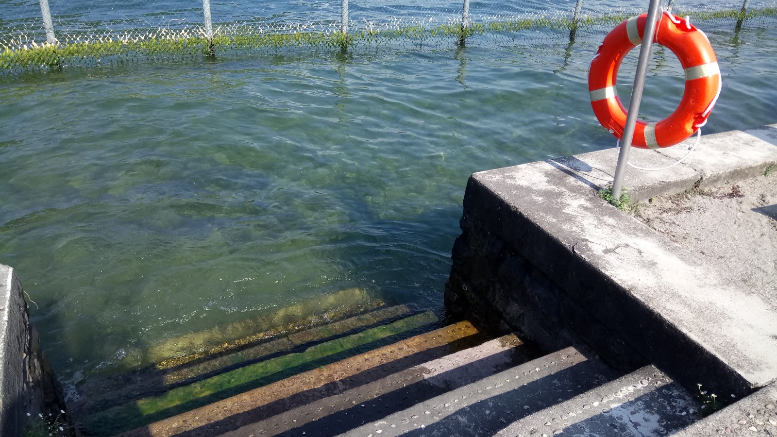 Foto di Lido Villa Olmo - luogo popolare tra gli intenditori del relax