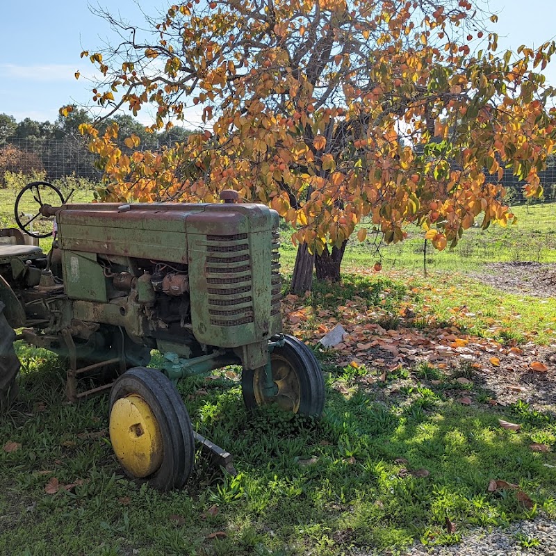 Everett Farm Stand