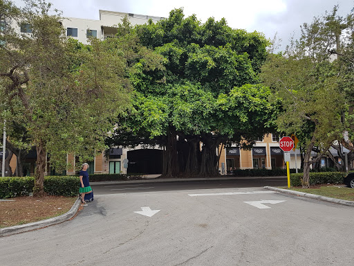 Spa «Elemis Day Spa», reviews and photos, 330 San Lorenzo Ave, Coral Gables, FL 33146, USA