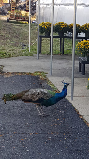 Liquor Store «Liquor Barn», reviews and photos, 1051 Florence Columbus Rd a, Bordentown, NJ 08505, USA