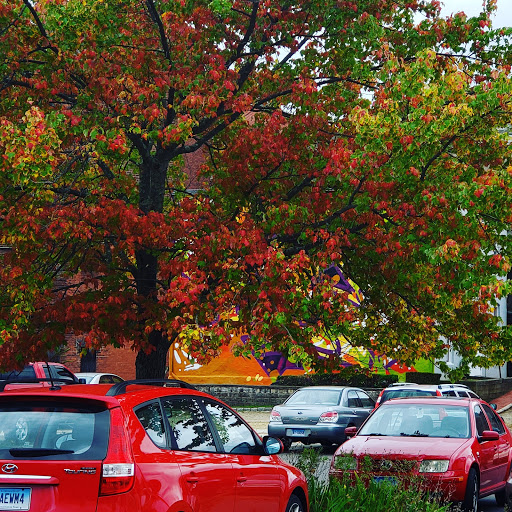 Pet Supply Store «Petco Animal Supplies», reviews and photos, 86 Storrs Rd, Mansfield Center, CT 06250, USA