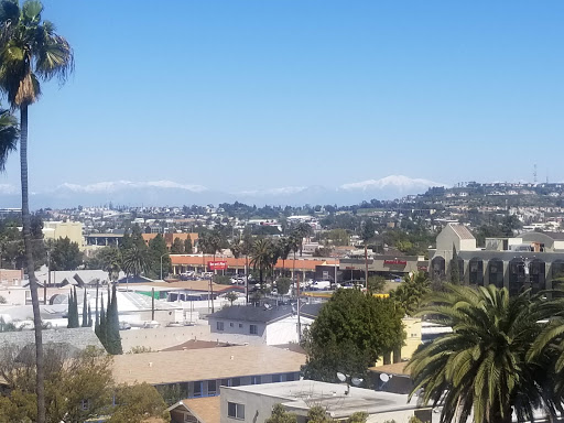 Grocery Store «Top Valu Market», reviews and photos, 421 Pacific Ave, Long Beach, CA 90802, USA