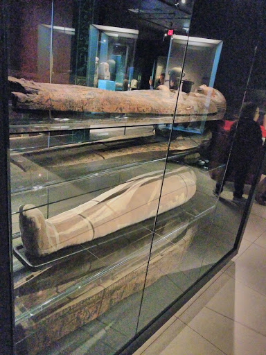 Museum «National Geographic Museum», reviews and photos, 1145 17th Street NW, Washington, DC 20036, USA