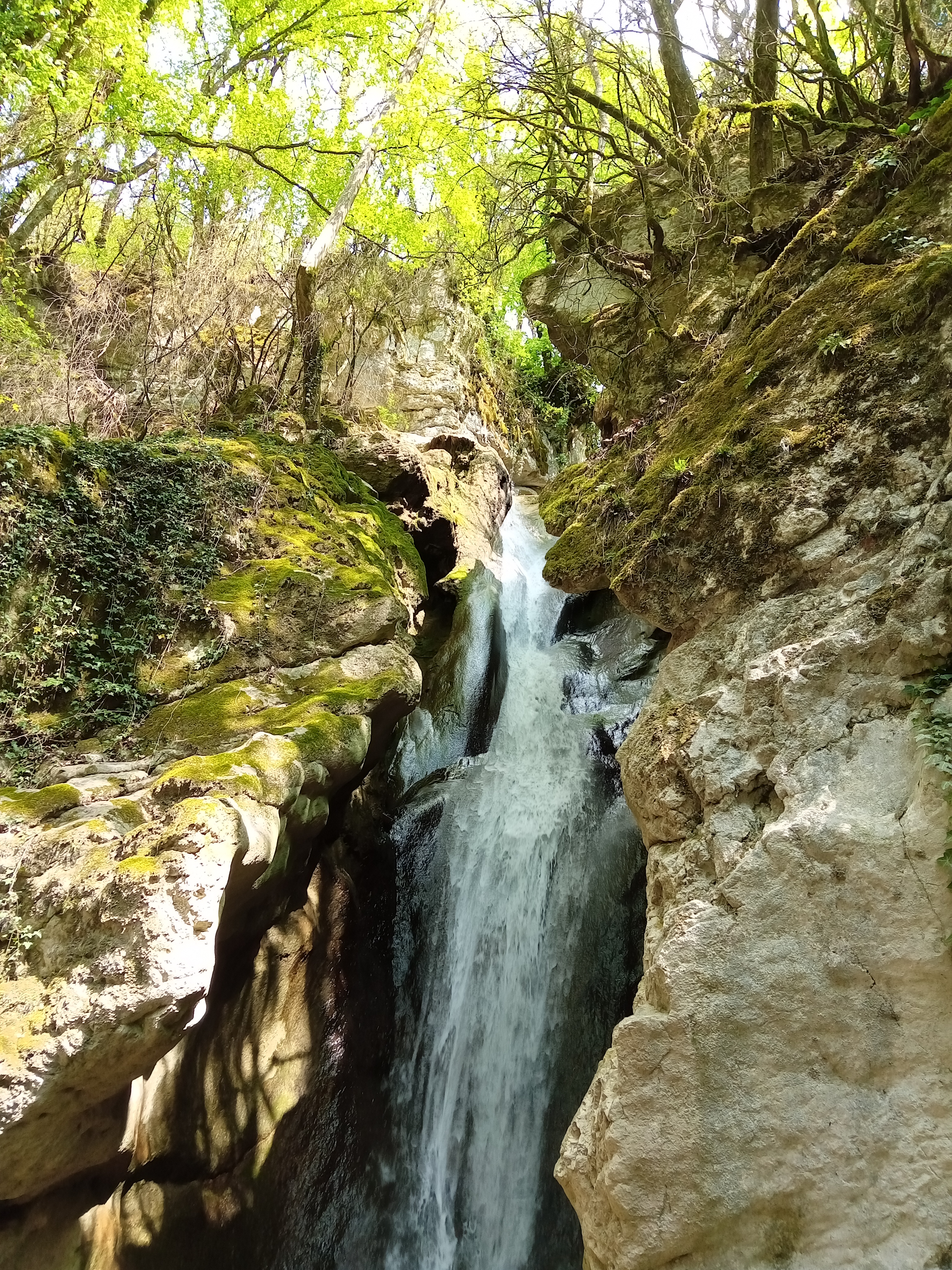 Photo n° 9 de l'avis de Sandrine.e fait le 03/04/2019 à 13:52
