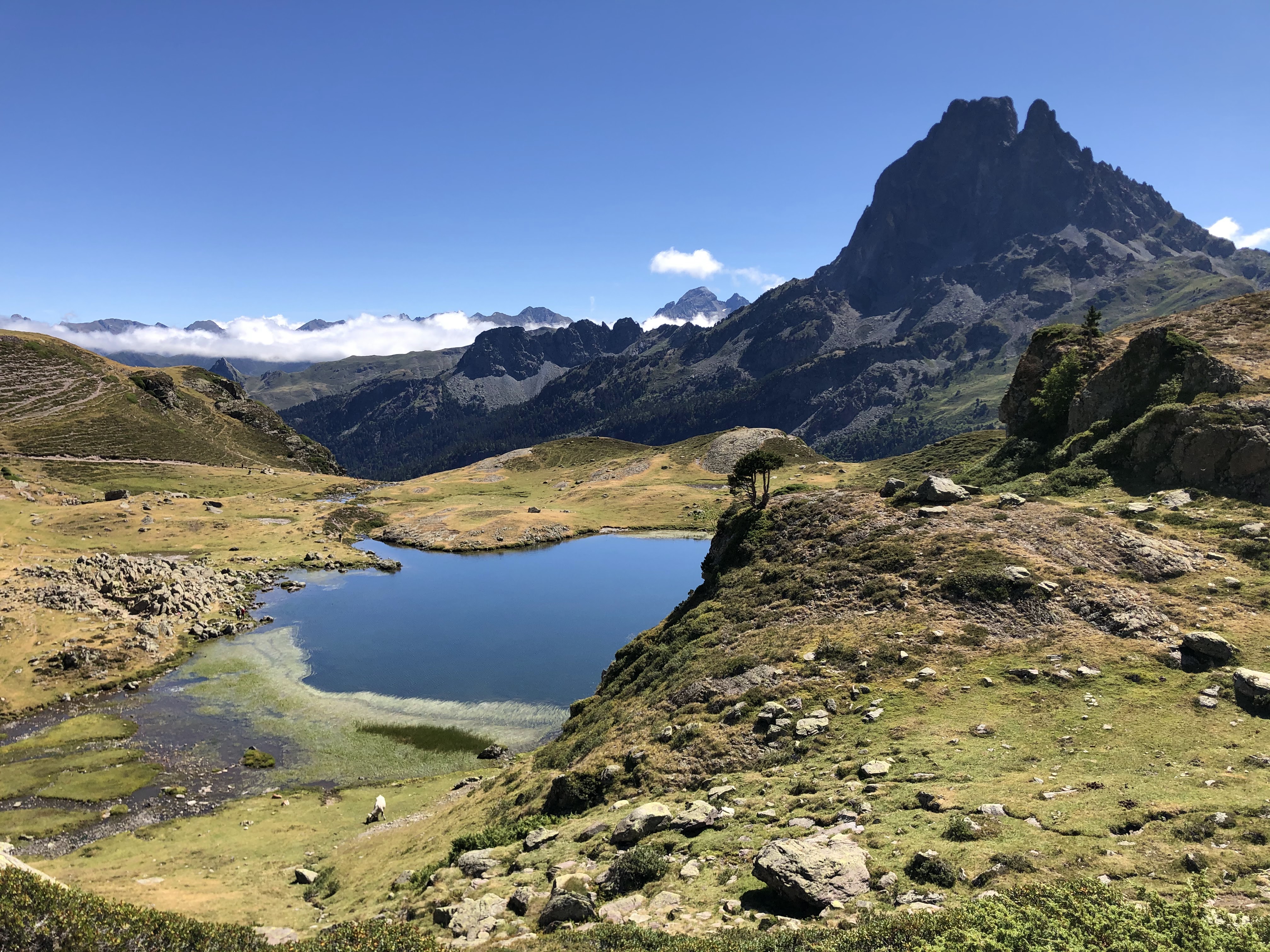 Photo n° 4 de l'avis de Christophe.l fait le 14/08/2020 à 11:47