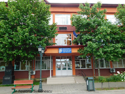 Liceul de artă I.St. Paulian