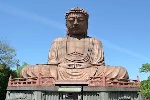 Great Buddha of Shuurakuen image