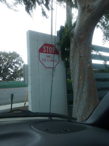 Harley-Davidson Dealer «Lane Splitter Harley-Davidson», reviews and photos, 1551 Parkmoor Ave, San Jose, CA 95128, USA