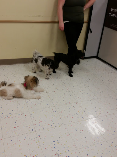 Pet Supply Store «Petco Animal Supplies», reviews and photos, 4950 S 76th St, Greenfield, WI 53220, USA