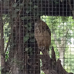 Photo n° 9 de l'avis de Eve.o fait le 22/06/2021 à 11:06 pour Zoo d'Amiens Métropole à Amiens