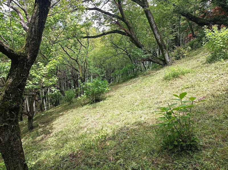麻生山淨慶寺緑の保全地域