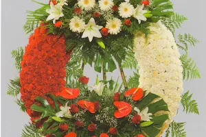 Flores Paquita image