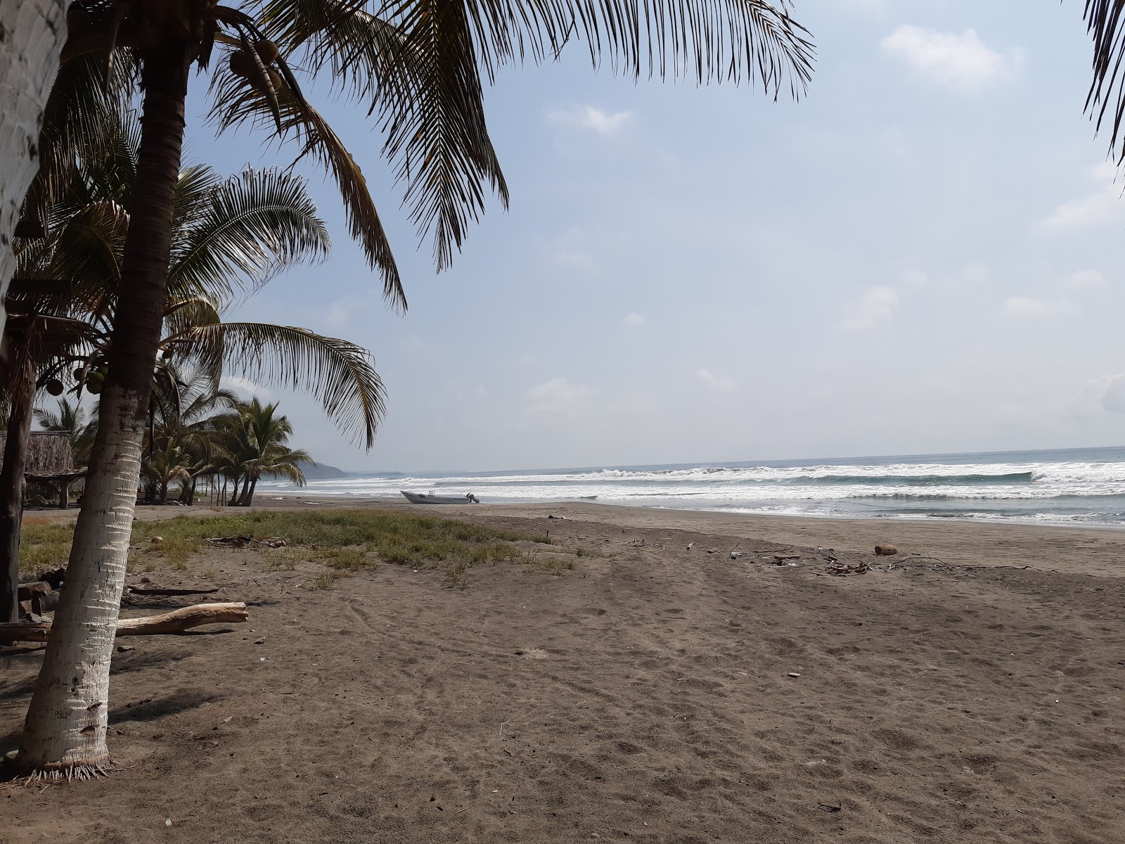 Fotografija Playa La Placita z rjavi pesek površino