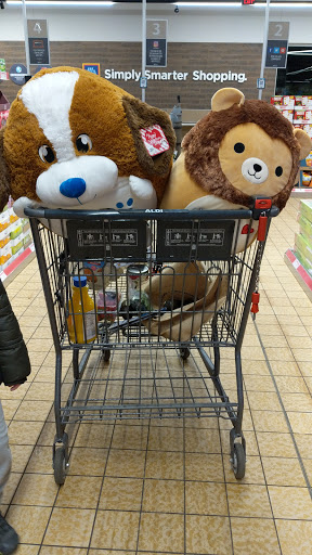 Supermarket «ALDI», reviews and photos, 1432 E Rand Rd, Prospect Heights, IL 60070, USA