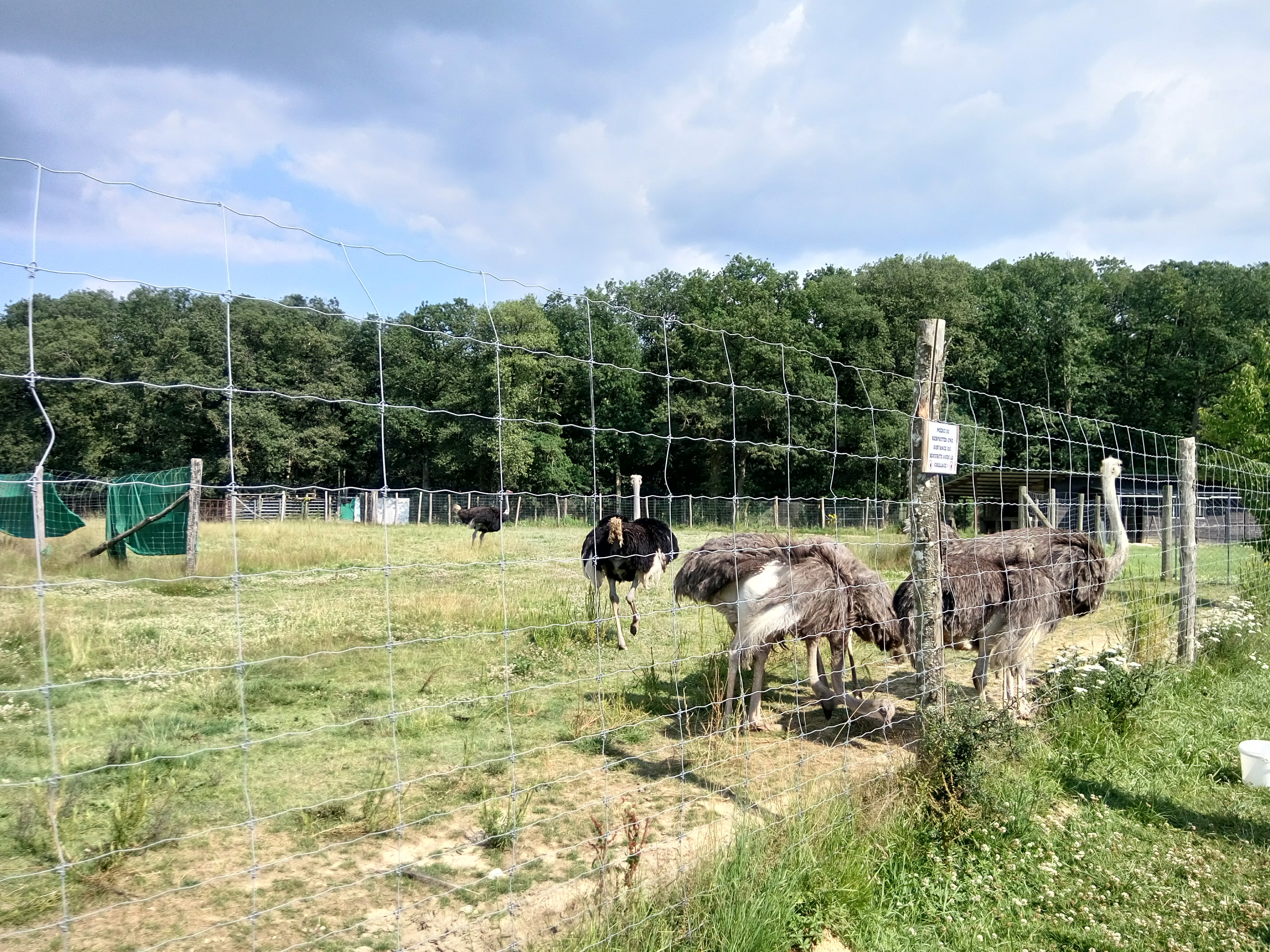 Photo n° 1 de l'avis de Mohsene._ fait le 08/07/2018 à 15:51