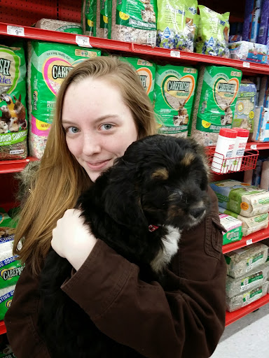 Pet Supply Store «Petco Animal Supplies», reviews and photos, 6280 S Westnedge Ave, Portage, MI 49002, USA