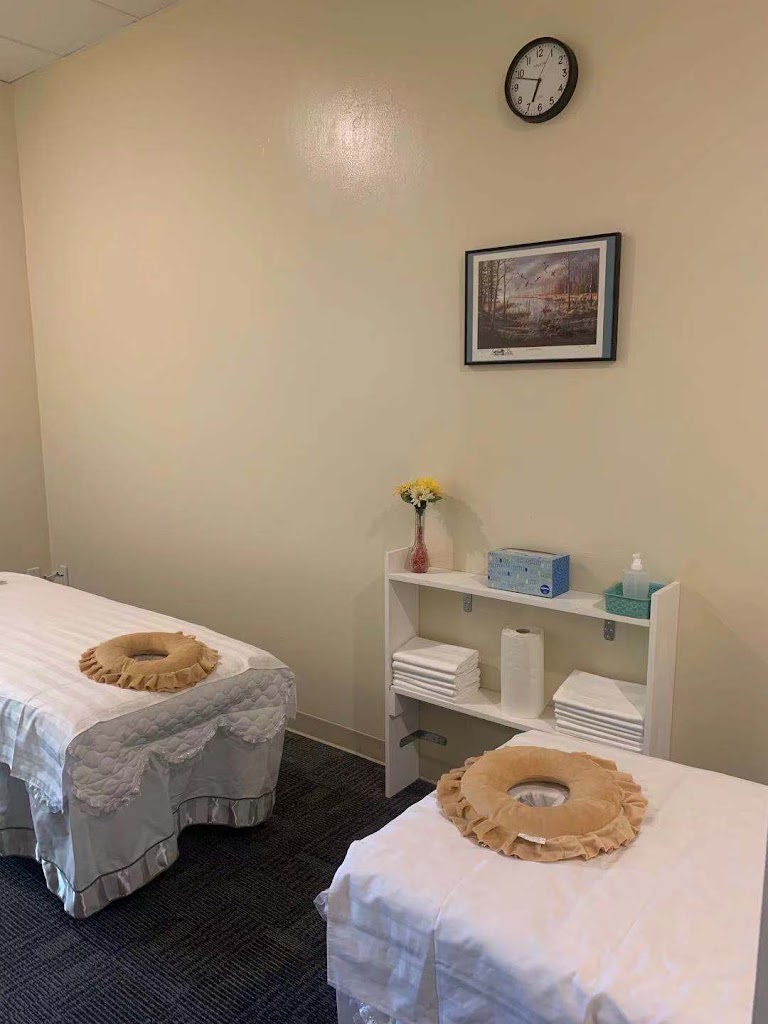 A1 Massage 23314
