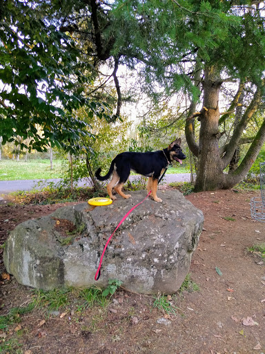 Pet Store «PetSmart», reviews and photos, 14903 4th Ave SW Ste 200, Burien, WA 98166, USA