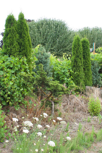 Farm «Bella Organic Farm», reviews and photos, 16205 NW Gillihan Rd, Portland, OR 97231, USA